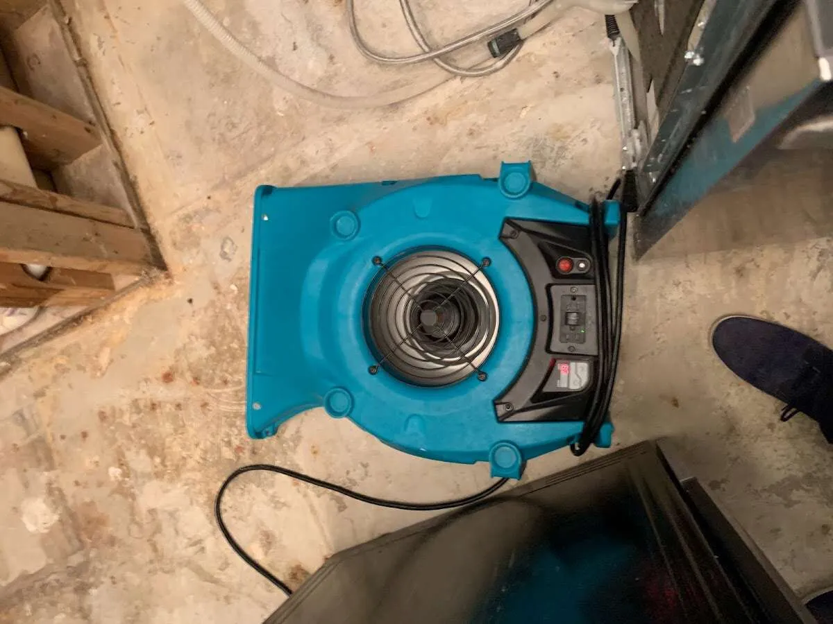 Air mover drying equipment for Mold Remediation & Removal in Rosenberg
