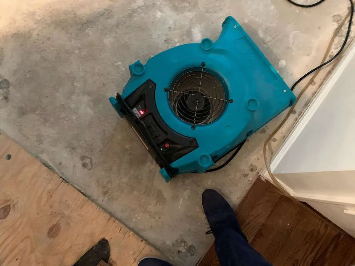 Air mover drying subfloor during Commercial Water Damage Restoration in Rosenberg